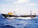 Tàu cá Trung Quốc lấn át tàu Nhật trên biển Hoa Đông Tàu cá Trung Quốc lấn át tàu Nhật trên biển Hoa Đông