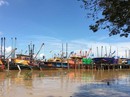 Trung Quốc đang “giết chết” biển Đông Trung Quốc đang “giết chết” biển Đông