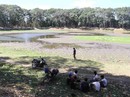 Ao Bà Om Trà Vinh sắp "biến mất" Ao Bà Om Trà Vinh sắp "biến mất"