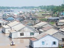 Đổ nợ vì cá tra Đổ nợ vì cá tra