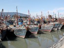 Hàn - Nhật không tha tàu cá Trung Quốc Hàn - Nhật không tha tàu cá Trung Quốc
