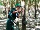 Những đôi tay vàng Những đôi tay vàng