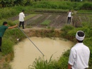 3 trẻ chết thương tâm dưới hố nước tưới rau 3 trẻ chết thương tâm dưới hố nước tưới rau