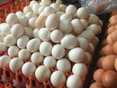 Quả trứng “gánh” 14 loại phí, quả chanh “đội giá” 100 lần Quả trứng “gánh” 14 loại phí, quả chanh “đội giá” 100 lần