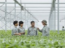 Vingroup liên kết với 1.000 HTX và hộ nông dân cung ứng nông sản sạch và an toàn Vingroup liên kết với 1.000 HTX và hộ nông dân cung ứng nông sản sạch và an toàn