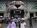 Đi sở thú ở Triều Tiên Đi sở thú ở Triều Tiên