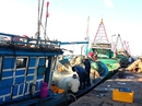 Băng nhóm giang hồ bảo kê cảng cá Phước Tỉnh Băng nhóm giang hồ bảo kê cảng cá Phước Tỉnh
