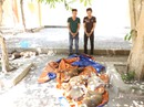 Mở cửa ô tô, phát hiện 10 chú chó bị chích điện, trói chặt Mở cửa ô tô, phát hiện 10 chú chó bị chích điện, trói chặt