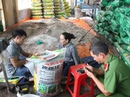 Phá một cơ sở sản xuất phân bón trái phép Phá một cơ sở sản xuất phân bón trái phép