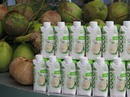 Nước dừa thiên nhiên đã được đóng hộp Nước dừa thiên nhiên đã được đóng hộp