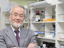 Nobel Y học về tay người Nhật Nobel Y học về tay người Nhật