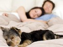Khốn khổ vì sở thích quái chiêu của chồng Khốn khổ vì sở thích quái chiêu của chồng