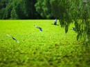 Những điểm du lịch trong nước hút khách dịp lễ 2/9 Những điểm du lịch trong nước hút khách dịp lễ 2/9
