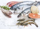 Ba lưu ý cho trẻ ăn hải sản tránh ngộ độc Ba lưu ý cho trẻ ăn hải sản tránh ngộ độc