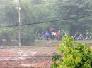 Tránh mưa, một nông dân bị sét đánh chết Tránh mưa, một nông dân bị sét đánh chết