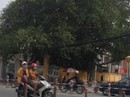 Nhậu say, Sơn Tinh giết nhầm bạn Nhậu say, Sơn Tinh giết nhầm bạn
