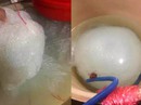 “Trùm” hàng giả Trung Quốc “Trùm” hàng giả Trung Quốc