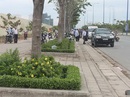 Vì sao chưa dẹp được xe dù, bến cóc? Vì sao chưa dẹp được xe dù, bến cóc?