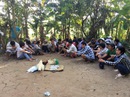 Tấn công trường gà Tấn công trường gà
