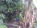 Nghi án cựu sĩ quan quân đội bị sát hại tại nhà riêng Nghi án cựu sĩ quan quân đội bị sát hại tại nhà riêng