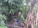 Bạn nhậu đã ra tay sát hại cựu sĩ quan quân đội ra sao? Bạn nhậu đã ra tay sát hại cựu sĩ quan quân đội ra sao?