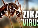 2 chị em ruột cùng nhiễm virus Zika 2 chị em ruột cùng nhiễm virus Zika