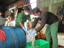 Hết cửa kinh doanh thịt bẩn Hết cửa kinh doanh thịt bẩn