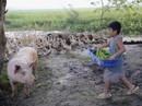 "Khi con là nhà": Xúc động tình phụ tử! "Khi con là nhà": Xúc động tình phụ tử!