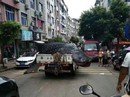 Trung Quốc: Bị bắt vì chở cá mập voi quý hiếm bán cho nhà hàng Trung Quốc: Bị bắt vì chở cá mập voi quý hiếm bán cho nhà hàng