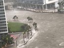 Mỹ: Bão Irma vào Florida, “tất cả ngập trong nước” Mỹ: Bão Irma vào Florida, “tất cả ngập trong nước”
