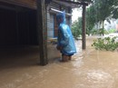 Bão số 12: Phú Yên đề nghị hỗ trợ 300 tấn gạo cứu đói khẩn cấp Bão số 12: Phú Yên đề nghị hỗ trợ 300 tấn gạo cứu đói khẩn cấp