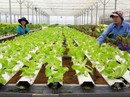 Ưu đãi cho vay nông nghiệp công nghệ cao Ưu đãi cho vay nông nghiệp công nghệ cao