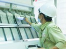 Gần 50% gạo Việt Nam xuất sang Trung Quốc Gần 50% gạo Việt Nam xuất sang Trung Quốc