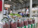 Xuất khẩu rau quả có thể lần đầu tiên vượt 3 tỉ USD Xuất khẩu rau quả có thể lần đầu tiên vượt 3 tỉ USD