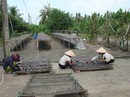 Nhà nông thất thu mùa Tết Nhà nông thất thu mùa Tết