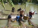 Ngành thủy sản lạc quan Ngành thủy sản lạc quan