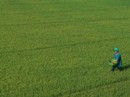 Nông dân "đi đêm" mới vay được vốn Nông dân "đi đêm" mới vay được vốn