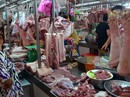Sẽ cấm kháng sinh trong thức ăn chăn nuôi Sẽ cấm kháng sinh trong thức ăn chăn nuôi