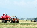 Đồng bào Chăm khá lên nhờ "cánh đồng lớn" Đồng bào Chăm khá lên nhờ "cánh đồng lớn"