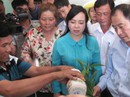 TP HCM: Zika rình rập tấn công! TP HCM: Zika rình rập tấn công!