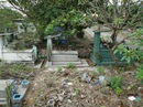 Tiếp tục bốc mộ từ ngày 1-11-2017 Tiếp tục bốc mộ từ ngày 1-11-2017
