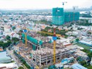 Bị treo tiền tỉ vì mua đất bằng hợp đồng góp vốn Bị treo tiền tỉ vì mua đất bằng hợp đồng góp vốn