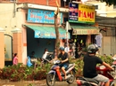 TP HCM: Mưa kèm gió giật mạnh, hàng loạt cây xanh gãy đổ TP HCM: Mưa kèm gió giật mạnh, hàng loạt cây xanh gãy đổ