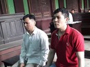 Cây tràm... giết người! Cây tràm... giết người!