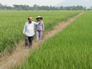 Nông dân chuyên nghiệp Nông dân chuyên nghiệp