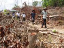 Bỏ lọt tội nhiều cán bộ tiếp tay phá rừng Bỏ lọt tội nhiều cán bộ tiếp tay phá rừng
