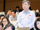 Doanh nhân Việt khóc trên sân nhà Doanh nhân Việt khóc trên sân nhà