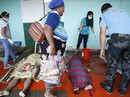 Đang cột thuyền chống bão Tembin, người đàn ông bị cá sấu ăn thịt Đang cột thuyền chống bão Tembin, người đàn ông bị cá sấu ăn thịt