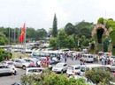 Mạnh tay dẹp cò đặc sản Mạnh tay dẹp cò đặc sản