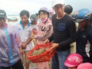 "Thủ phủ" tôm hùm tan tác "Thủ phủ" tôm hùm tan tác